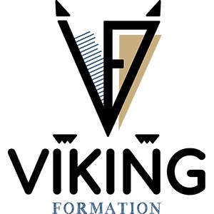Lire la suite à propos de l’article Viking Formation