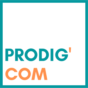 Lire la suite à propos de l’article Prodig-com